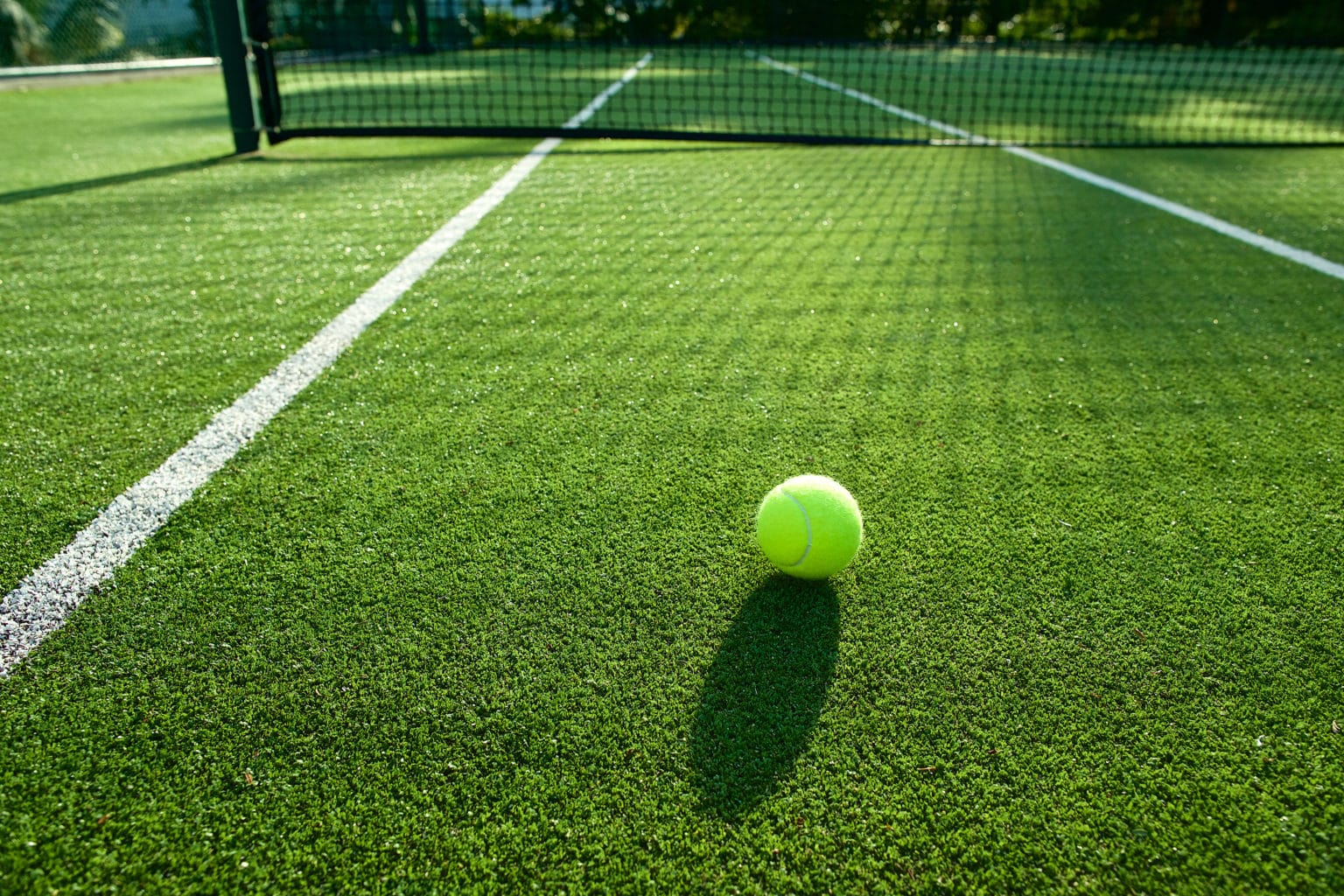 Spor alanı için halı çim